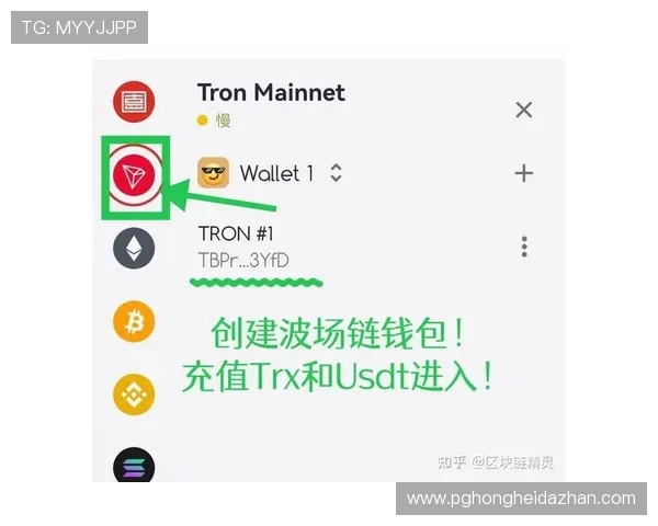 巅峰国际PG如何充值才能快速到账以及避免常见问题的详细操作指南