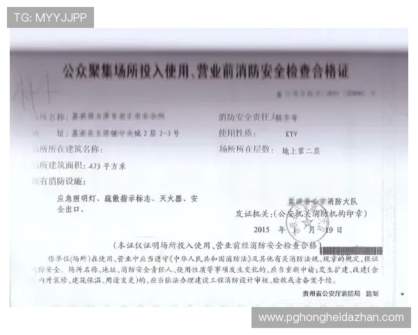 PG客户端官网下载入口，最新版本安全稳定快速下载安装指南